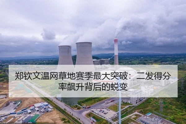 郑钦文温网草地赛季最大突破：二发得分率飙升背后的蜕变