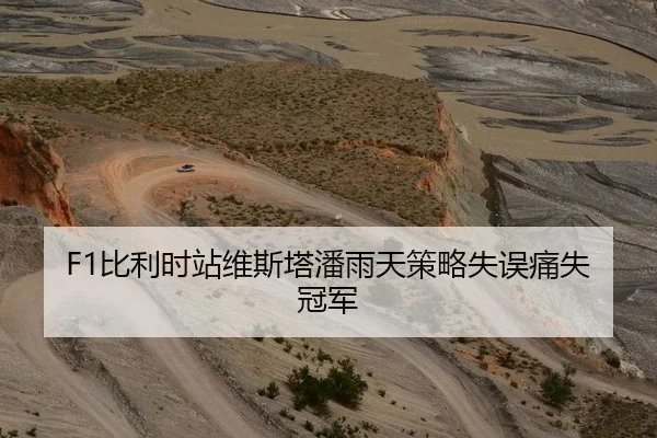 F1比利时站维斯塔潘雨天策略失误痛失冠军