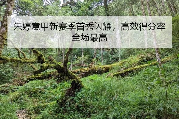 朱婷意甲新赛季首秀闪耀，高效得分率全场最高